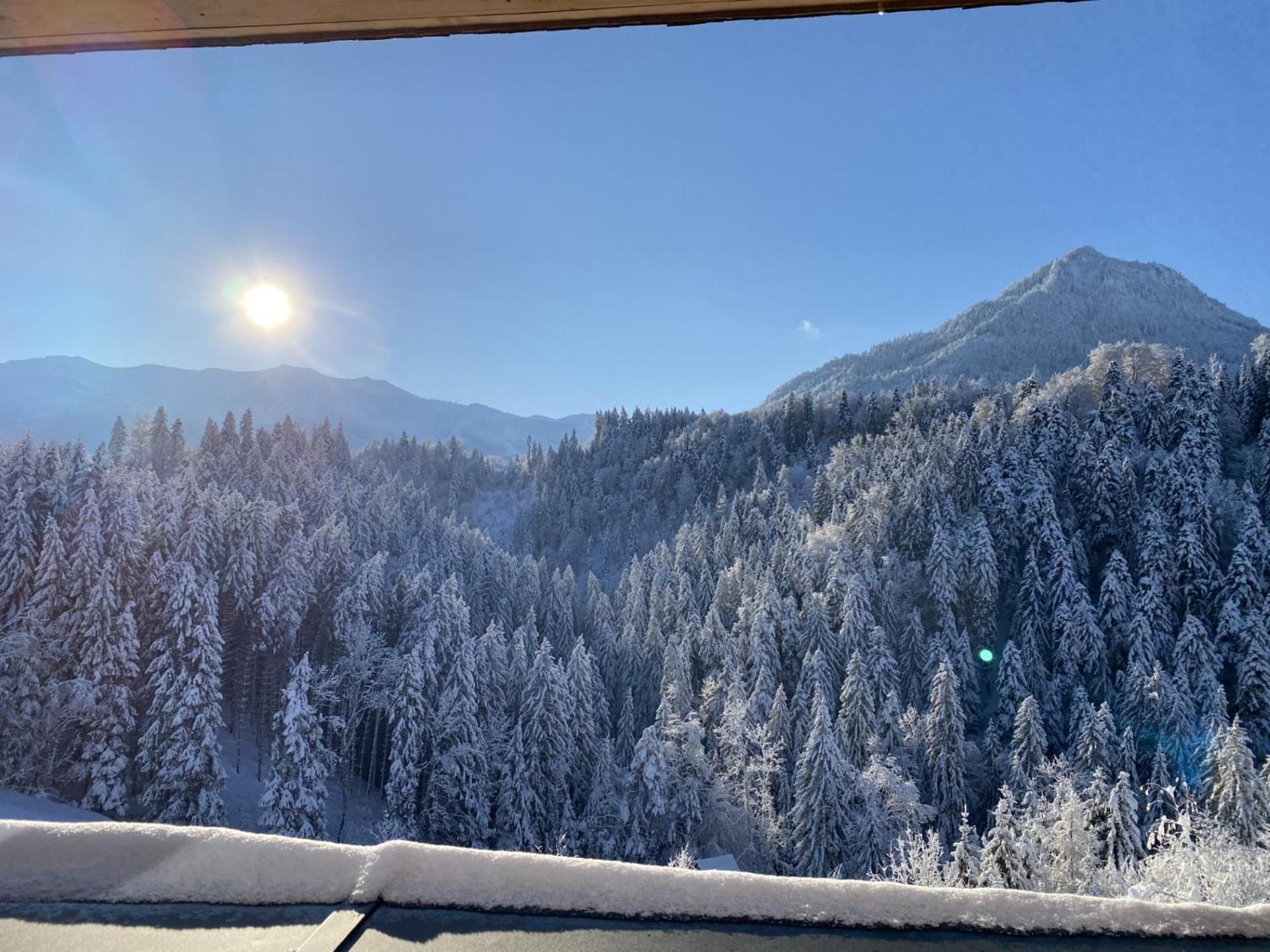 Wohnung Staufenblick Und Wohnung Firstblick Dornbirn Exterior foto