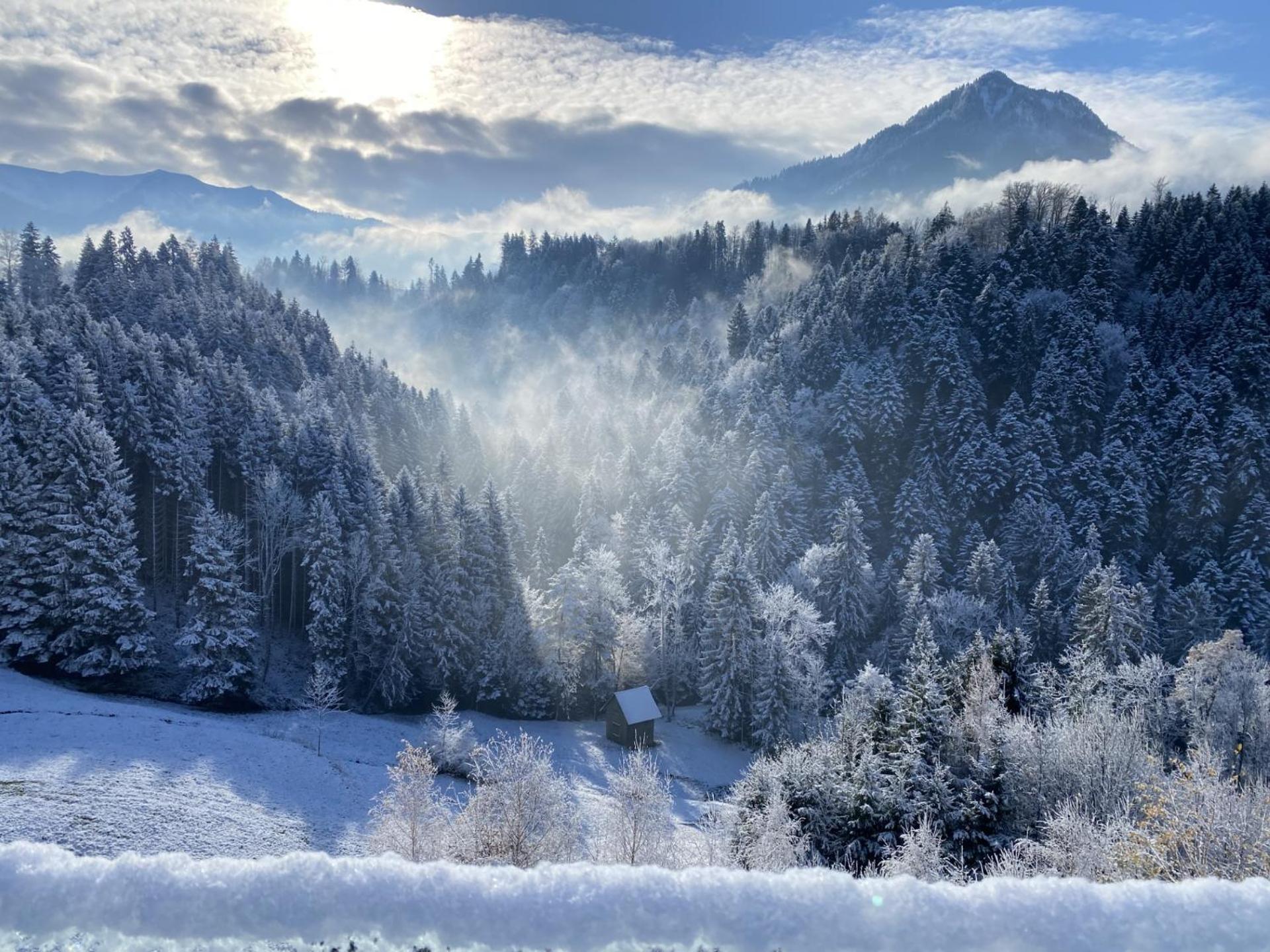 Wohnung Staufenblick Und Wohnung Firstblick Dornbirn Exterior foto